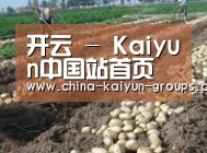 种植基地七(图1)