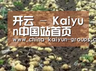 种植基地八(图1)