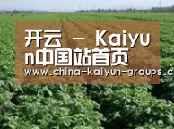 种植基地五