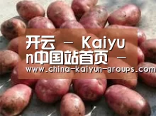 产品展示标题5(图1)