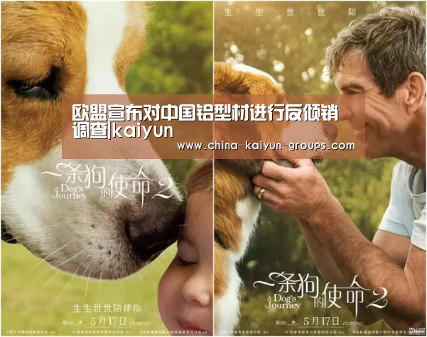 欧盟宣布对中国铝型材进行反倾销调查|kaiyun(图3) 欧盟宣布对中国铝型材进行反倾销调查|kaiyun(图3)